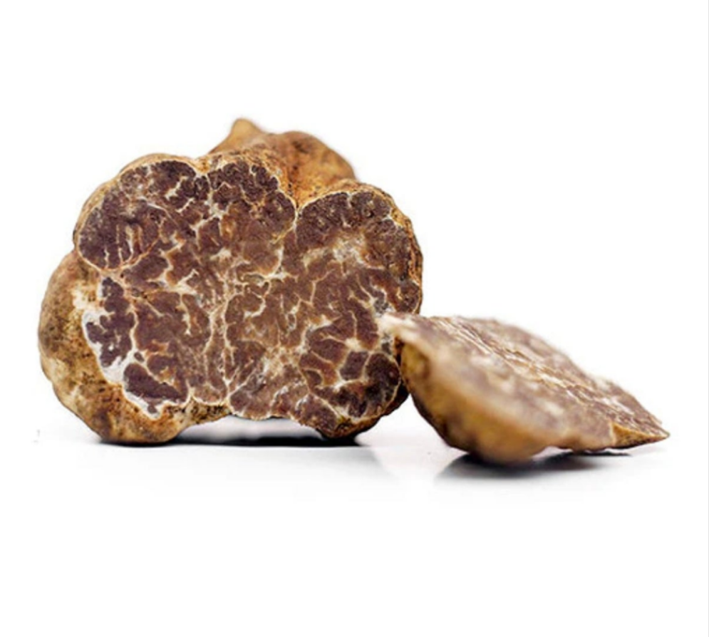 Tartufi bianchi primaverili - bianchetto - (Tuber Borchii)