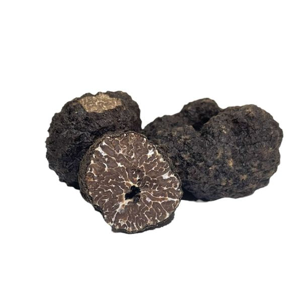 Ordinary Black Truffles (Tuber Mesentericum)